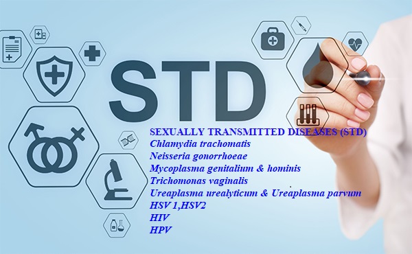 STD Panel